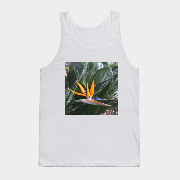 Bird of Paradise - colourful plant design Tank Top by Miss Santa's Store